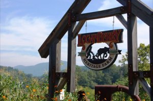 welcome-to-loganberry