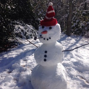 Henry snowman