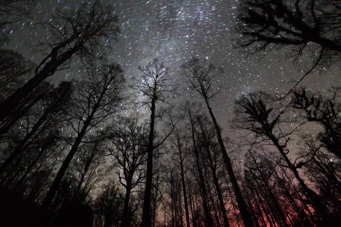 stars at night