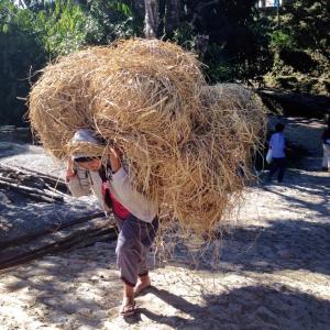 1470242_2233857411289_1342951050_n