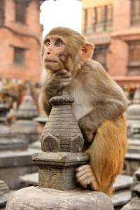 574584_2233903212434_718436185_n