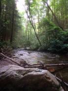 11391383_10206382313618469_4634632056095022881_n