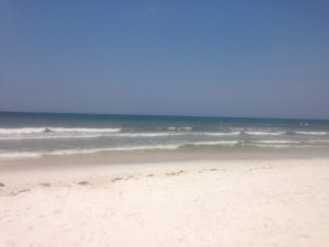 11013023_10207042396842215_4304172483196498291_n