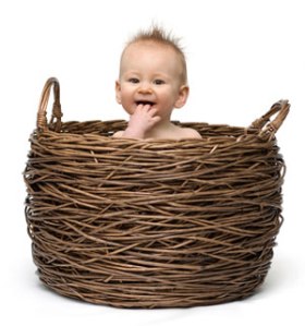 basket_baby_1