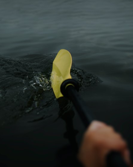 paddle